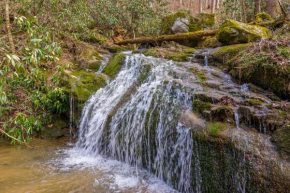 Waterfall Woods Lodge 4 br, 5 bath property including tiny house suite, private waterfallcreek!